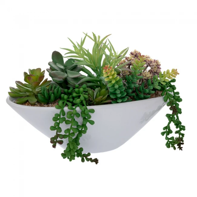 ΠΑΧΥΦΥΤΟ ΣΕ ΑΣΠΡΟ ΚΕΡΑΜΙΚΟ ΓΛΑΣΤΡΑΚΙ 20,5ΕΚ