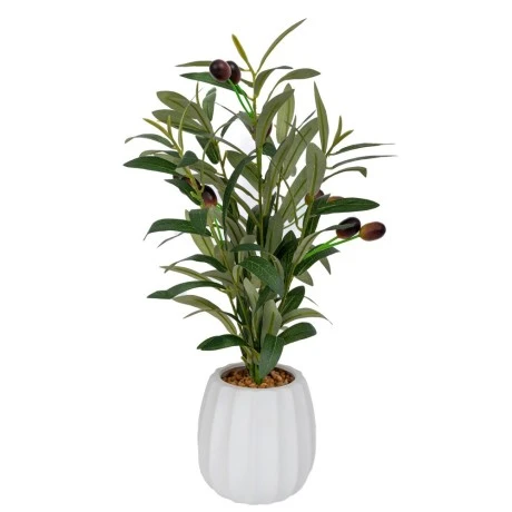 OLVE TREE 42CM IN CERAMIC POT 11X11CM
