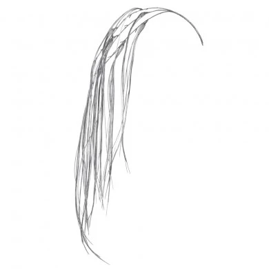 SILVER COLOR HANGING STEM 120CM