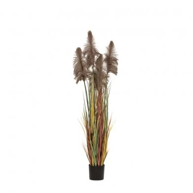 ARTIFICIAL BROWN PAMPAS GRASS Χ3 D20X180CM IN BLACK PLASTIC POT