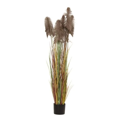 ARTIFICIAL BROWN PAMPAS GRASS Χ3 D23X220CM IN BLACK PLASTIC POT