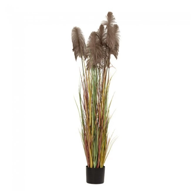 ARTIFICIAL BROWN PAMPAS GRASS Χ3 D23X220CM IN BLACK PLASTIC POT