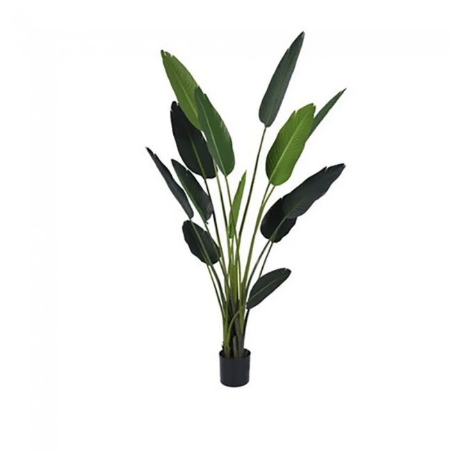 ARTIFICIAL RAVENALA PLANT WITH 13 LEAVES 185CM IN PLASTIC POT 17X15CM
