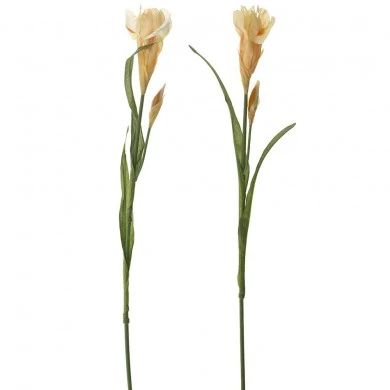 ARTIFICIAL IRIS STEM 60ΨΜ IN 2 COLOURS