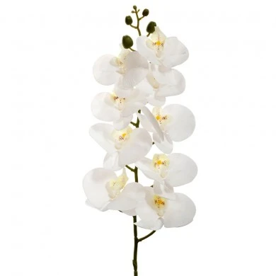 ΚΡΕΜ ΟΡΧΙΔΕΑ ΚΛΑΔΙ 90ΕΚ