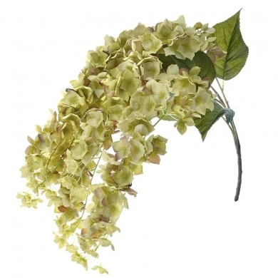 ΚΡΕΜΑΣΤΟ ΚΛΑΔΙ ΠΡΑΣΙΝΗ ΟΡΤΑΝΣΙΑ Χ5 83ΕΚ