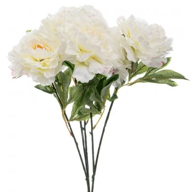 ΛΕΥΚΟ ΜΠΟΥΚΕΤΟ ΧΡΥΣΑΝΘΕΜΟ 55ΕΚ Χ5