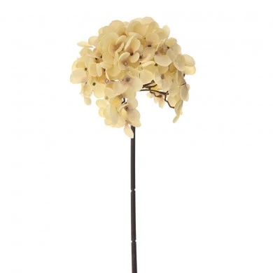 ΟΡΤΑΝΣΙΑ ΚΡΕΜ ΚΛΑΔΙ 54ΕΚ