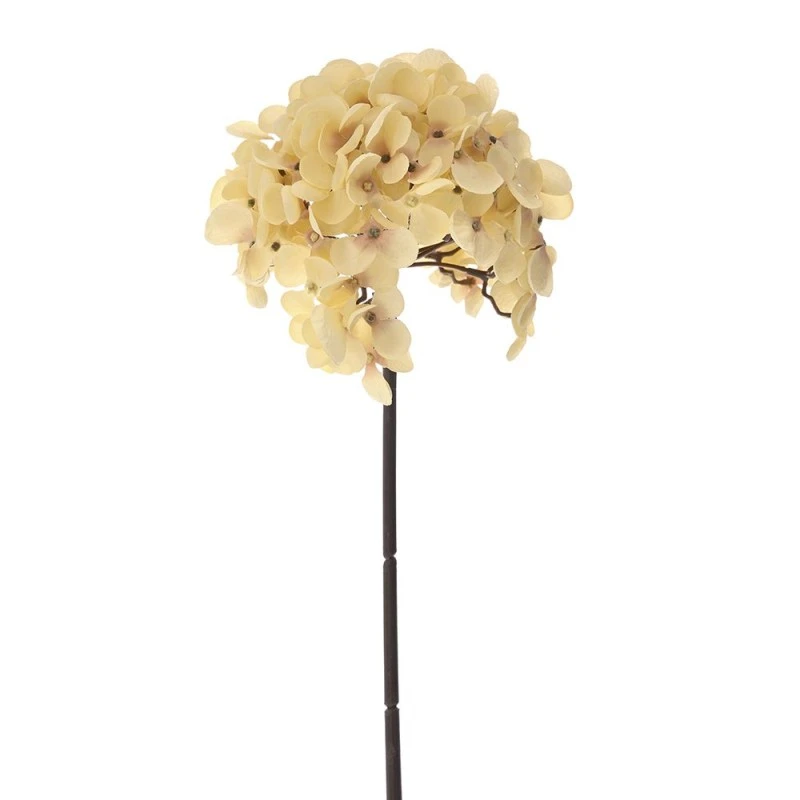 BEIGE HYDRANGEA STEM D14 54CM