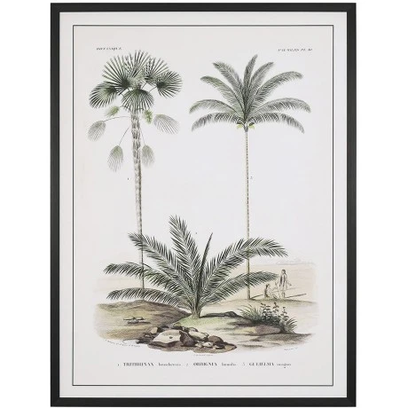 FRAMED PRINT ON CANVAS 60X80 CM RETRO PALM TREES