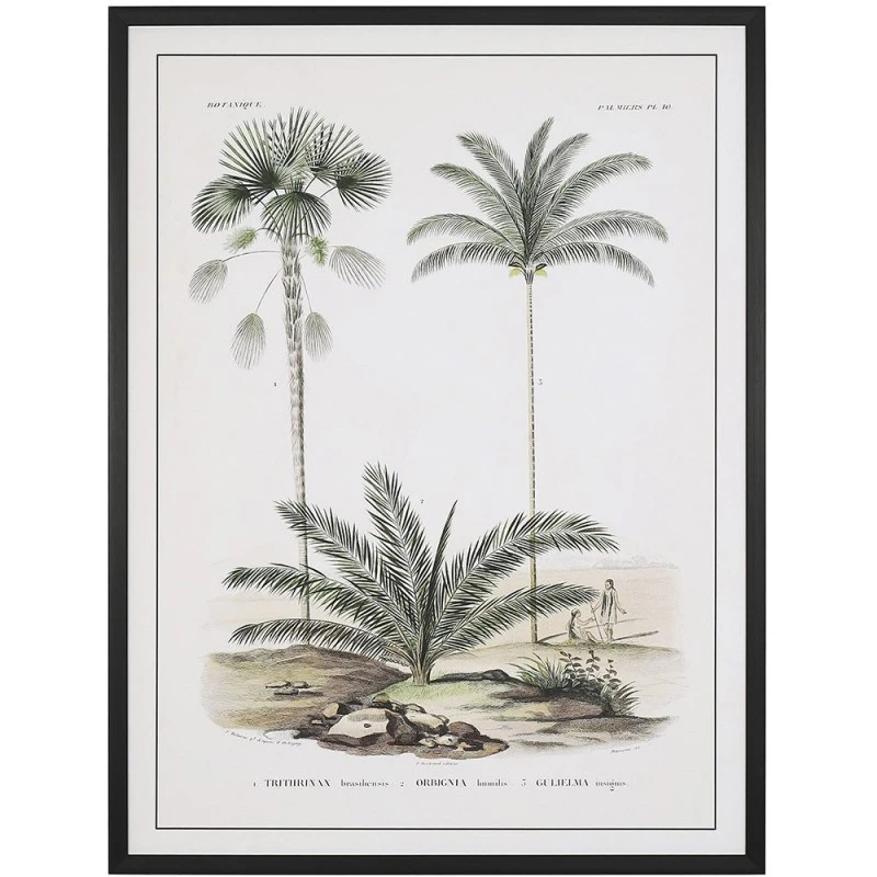 FRAMED PRINT ON CANVAS 60X80 CM RETRO PALM TREES