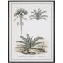FRAMED PRINT ON CANVAS 60X80 CM RETRO PALM TREES