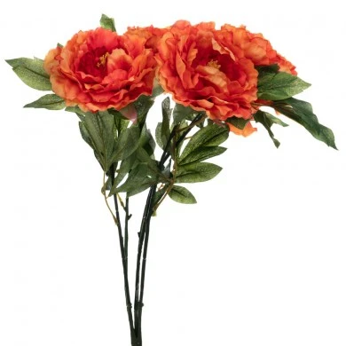 ΠΟΡΤΟΚΑΛΙ ΜΠΟΥΚΕΤΟ ΧΡΥΣΑΝΘΕΜΟ 55ΕΚ Χ5