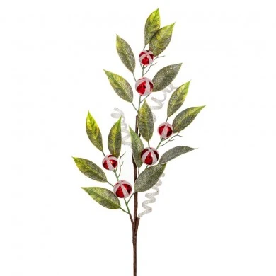 ΠΡΑΣΙΝΟ ΚΛΑΔΙ ΜΕ ΑΣΠΡΟ ΚΟΚΚΙΝΑ ΜΠΙΛΑΚΙΑ 70ΕΚ