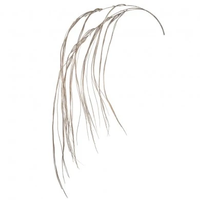 CHAMPAGNE COLOR HANGING STEM 120CM