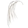 CHAMPAGNE COLOR HANGING STEM 120CM