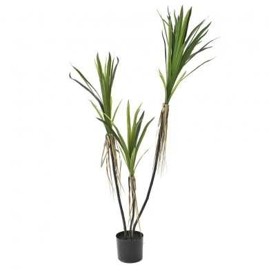 ARTIFICIAL DRACAENA TREE 150 CM IN BLACK PE POT