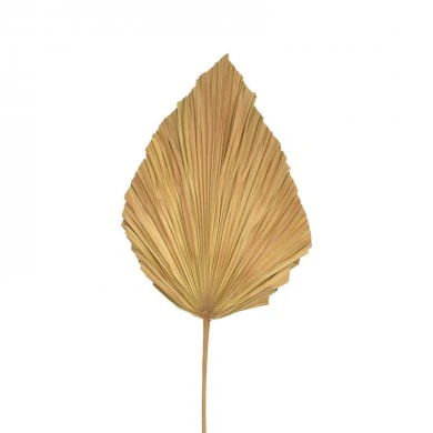 Deco leaf Walsy Inart palm leaf in natural color H135cm
