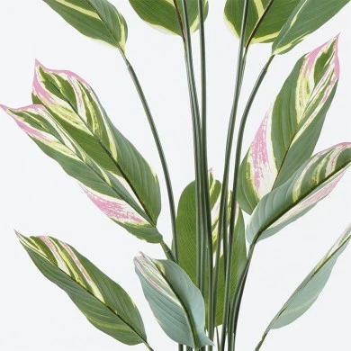 Decorative plant in a pot Aglaonema Inart green D80x150cm