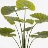 Decorative plant in a pot Alocasia Inart green D90x120cm