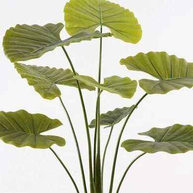 Decorative plant in a pot Alocasia Inart green D90x120cm