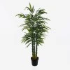 Decorative plant in a pot Arti Bamboo Inart green D70x150cm