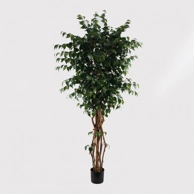 Decorative plant in pot Banyan Inart green D95x180cm