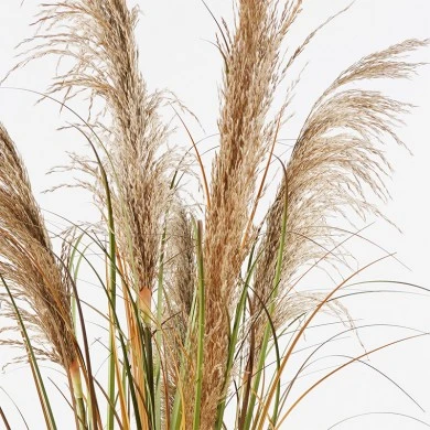 Decorative plant in a pot Bulrush Inart D65x120cm