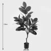 Decorative plant in pot Ficus Lyrata Inart green D70x130cm