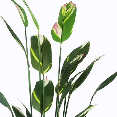 Ornamental plant in pot Lucky I Inart green D80x210cm