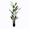 Ornamental plant in pot Lucky I Inart green D80x210cm