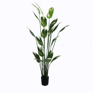 Ornamental plant in pot Lucky I Inart green D80x210cm