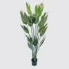 Ornamental plant in pot Lucky Inart green D80x180cm