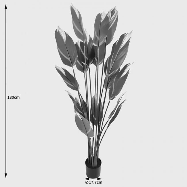 Ornamental plant in pot Lucky Inart green D80x180cm