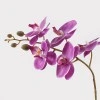 Decorative plant in a pot Orchid Beauty Inart 30x13x46cm