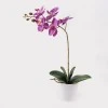 Decorative plant in a pot Orchid Beauty Inart 30x13x46cm