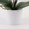 Decorative plant in a pot Orchid Beauty Inart 30x13x46cm