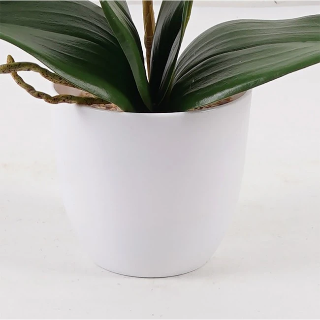 Decorative plant in a pot Orchid Beauty Inart 30x13x46cm