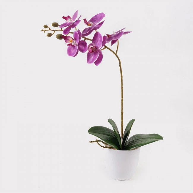 Decorative plant in a pot Orchid Beauty Inart 30x13x46cm