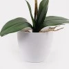 Decorative plant in a pot Orchid White Inart 36x17x65cm