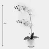 Decorative plant in a pot Orchid White Inart 36x17x65cm