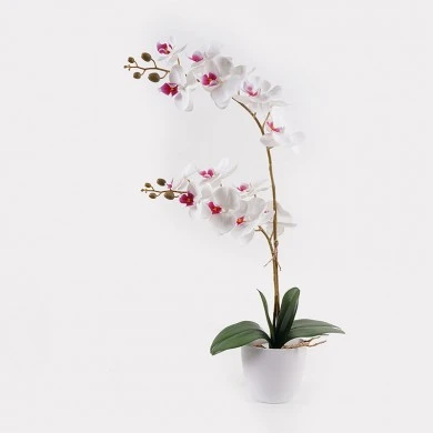 Decorative plant in a pot Orchid White Inart 36x17x65cm