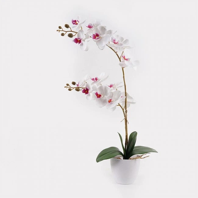 Decorative plant in a pot Orchid White Inart 36x17x65cm