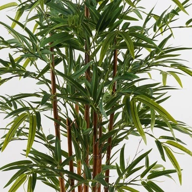 Decorative plant in a pot Rhapis Palm Inart green D60x120cm