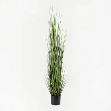 Decorative plant in a pot Boxwood Inart green D46x150cm