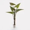 Decorative plant in pot Wentii Inart green D130x180cm