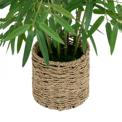 Potted plant Belica pakoworld D45x100cm