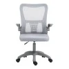 Work chair manager Annalise pakoworld mesh grey 57χ53χ100cm