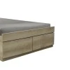 Single bed Nalos pakoworld with drawer castillo-oak 100x200cm