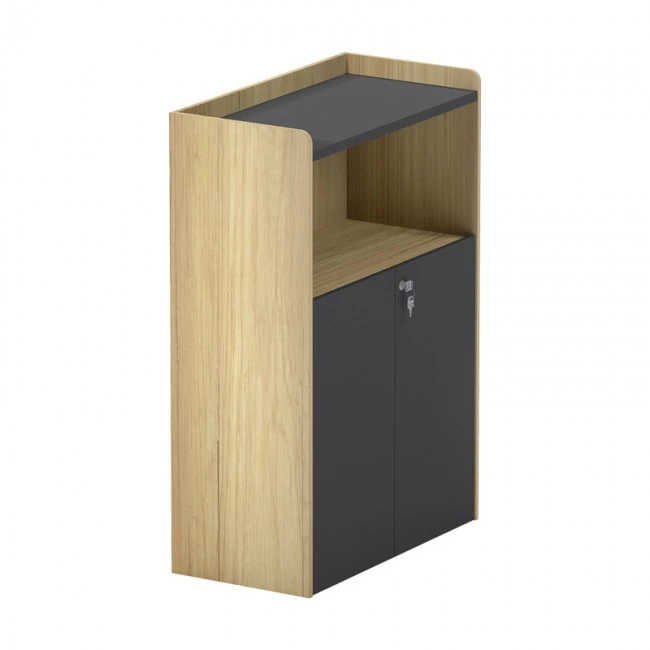 Professional low cabinet Lotus pakoworld in natural-anthracite color 80x40x120cm